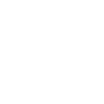 car ballbearing nikball white